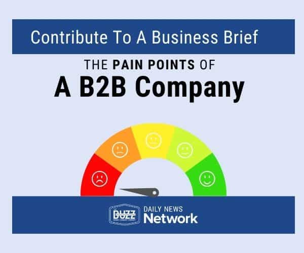 The Pain Points of A B2B Company